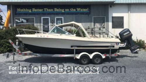 Wellcraft V20 Steplift opinión y ficha técnica